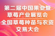 2025第二屆中國合肥果業暨草莓產業展覽會|全國草莓種苗與農資交易大會